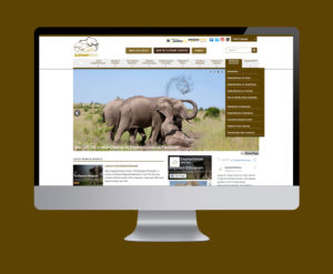 Read more about the article Elephant Voices